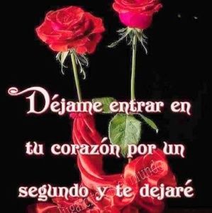 Meet your Posher, Carmen hernandez